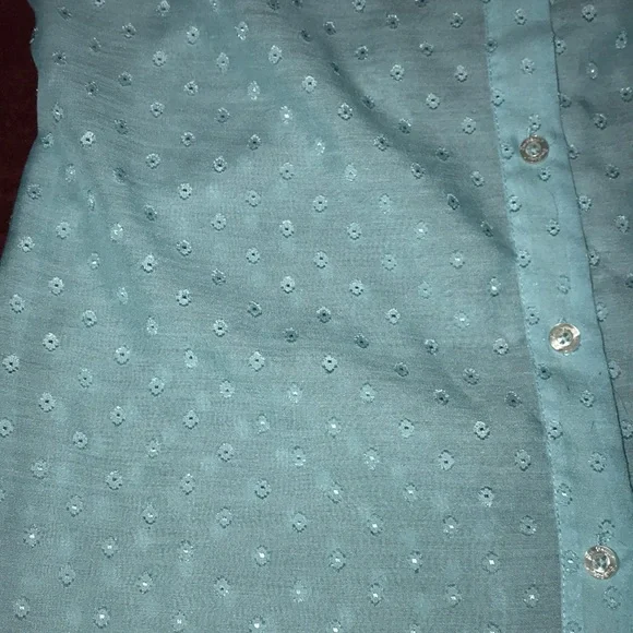 Lilly Pulitzer 10 Teal sheer Women’s Top - Picture 2 of 11
